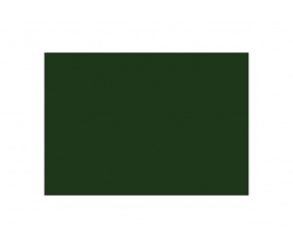 Pigment Zielony 25 g