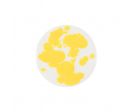 Kryształki Duncan CR 880 Intensywny żółty - 56,7g