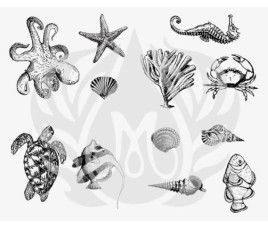 Siatka transferowa wielorazowa Mayco 