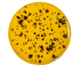 Ceramiq Viral Glaze Słoneczny Krater