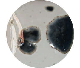 FANTASY GLAZE H DALMATION 140 ml