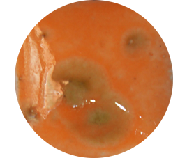 FANTASY GLAZE H SUNDANCE 140 ml