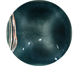 FANTASY GLAZE H NEPTUNE 140 ml