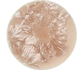 SUPERNOVA GLAZE NEMESIS 140 ml