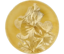 SUPERNOVA GLAZE KAUS BOREALIS 140 ml