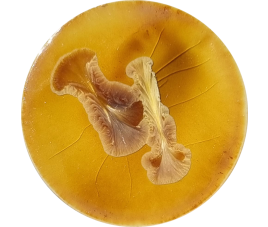 SUPERNOVA GLAZE MIRA 140 ml