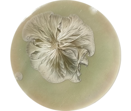 SUPERNOVA GLAZE IZAR 140 ml