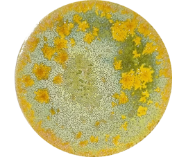 SUPERNOVA GLAZE ZHANG 140 ml