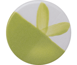 Farba Chrysanthos CC123H Pea Pod Café Color H 250 ml