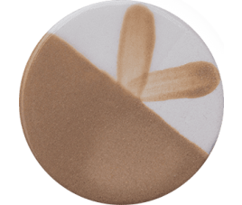 Farba Chrysanthos CC191H Milky Mocha Café Color H 250 ml