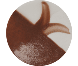 Farba Chrysanthos CC081H Red Gum Café Color H 250 ml