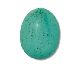 Szkliwo płynne TC FE 5612 Turquoise Speckley - 200 ml